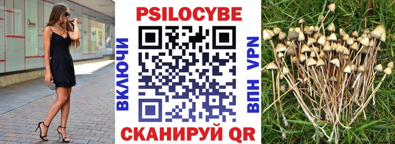 Купить закладки  Белая Холуница  Псилоцибиновые грибы MAGIC MUSHROOMS 